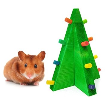 What hamsters like to do for fun image