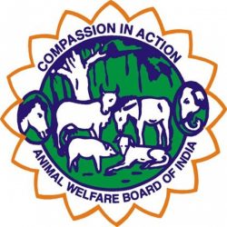All you need to know about the Animal Welfare Board Of India header photo image