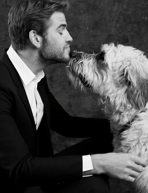 8 Hollywood Celebrities With the Cutest Pets image