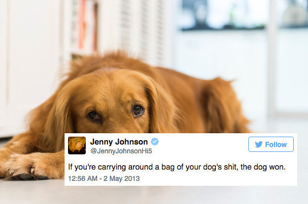 7 tweets about dogs that’ll make your morning image