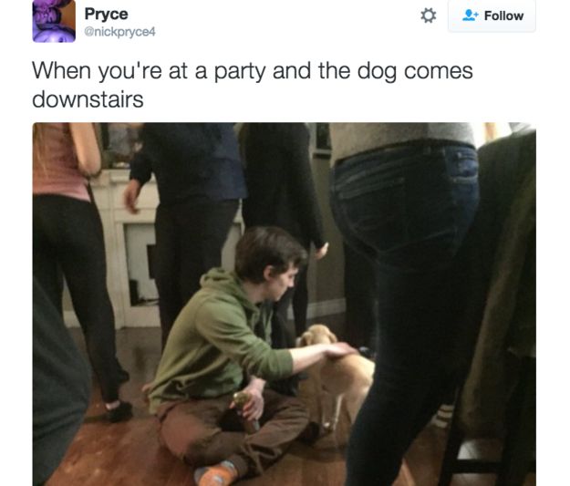 7 tweets about dogs that’ll make your morning image