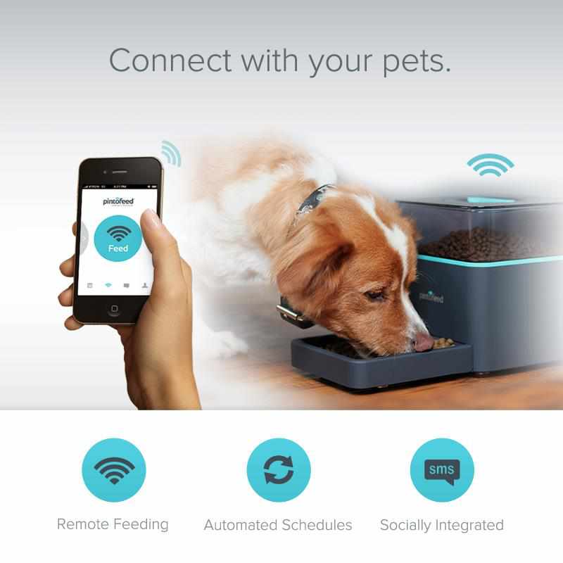 5 gadgets that let you remotely care for your pets image