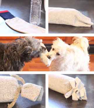 6 DIY toys you could make for your dog image