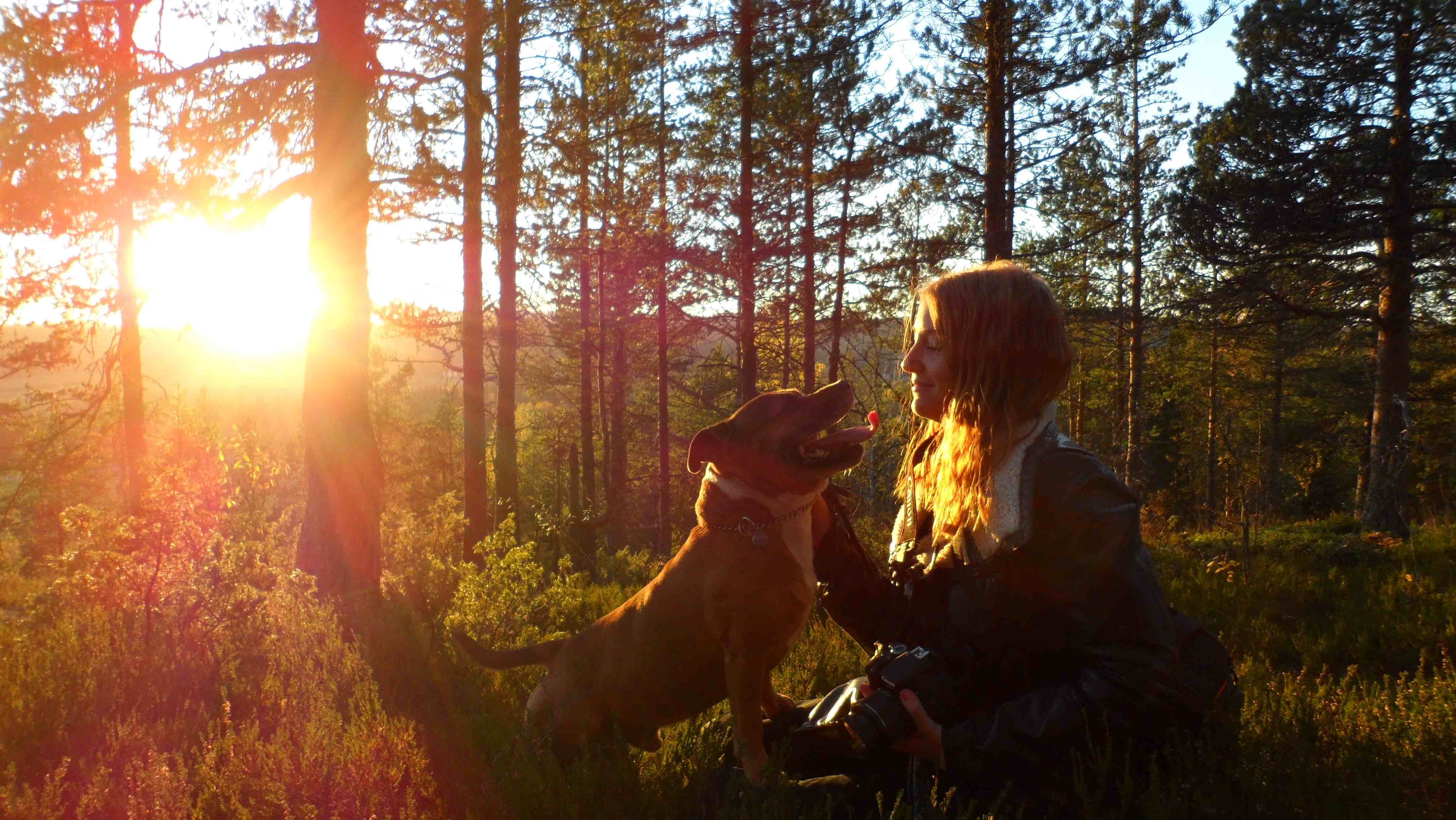 Why a dog is a man's best friend header