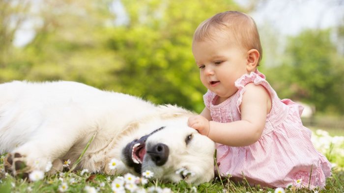 Can Dogs Prevent Asthma in Children - Featured Image