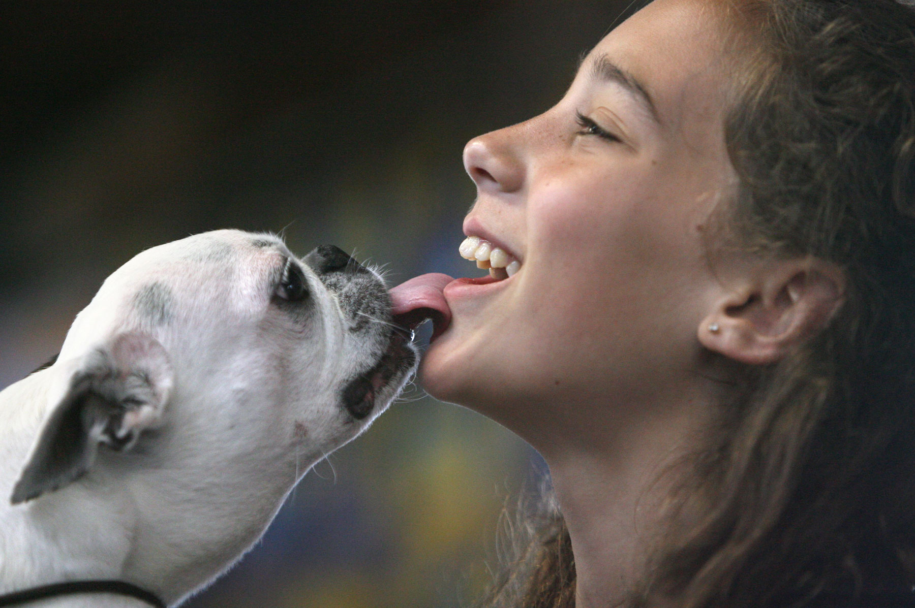 are-those-dog-kisses-healthy header photo