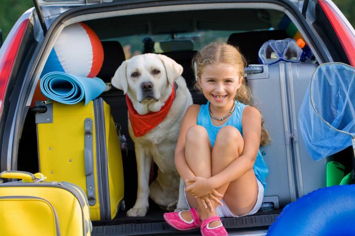 Top 5 Activities You Can Do With Your Dog This Summer. image