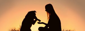 How to Make Your Pet Feel More Affectionate Towards You image